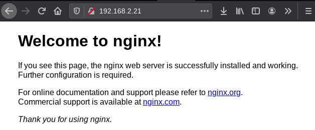 Default Nginx installation